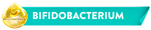 BIFIDOBACTERIUM